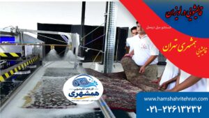 قالیشویی در لویزان و سشتشوی فرش 